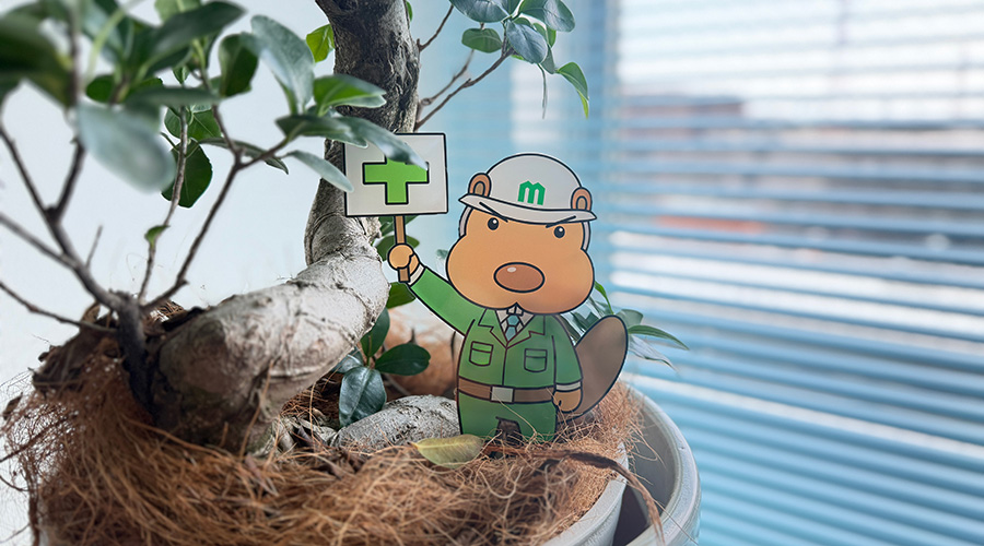 最新情報